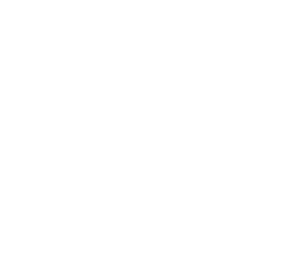 UNSA emblem